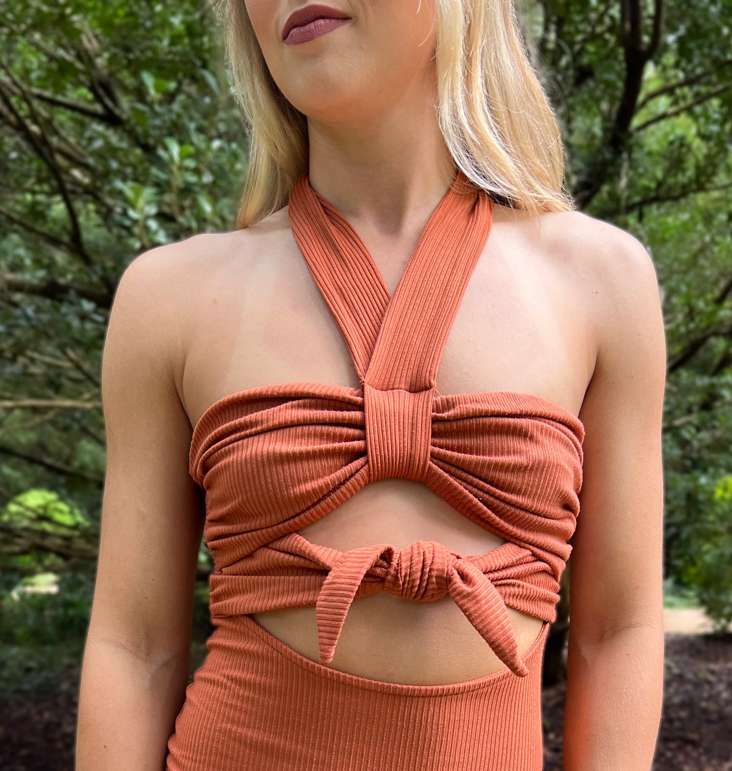 Pumpkin Spice Dress